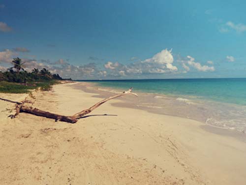 Beach of Almaplena Resort