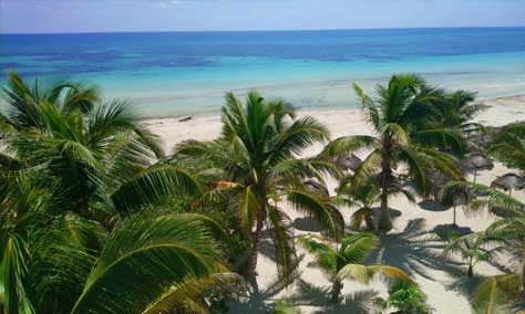 Beach View